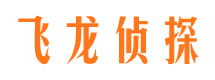 武邑飞龙私家侦探公司